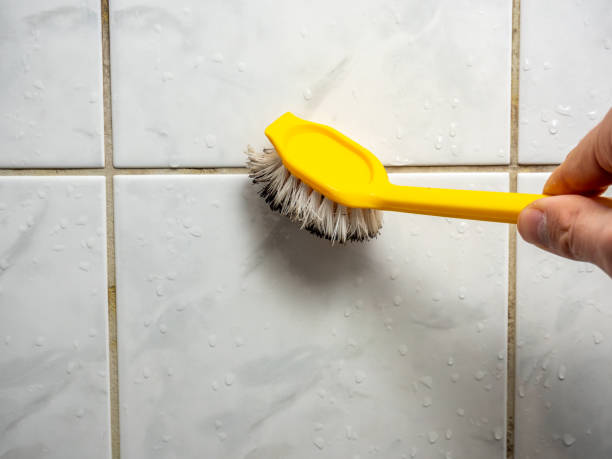 Best Local Mold Removal Service  in The College Of New Jersey, NJ